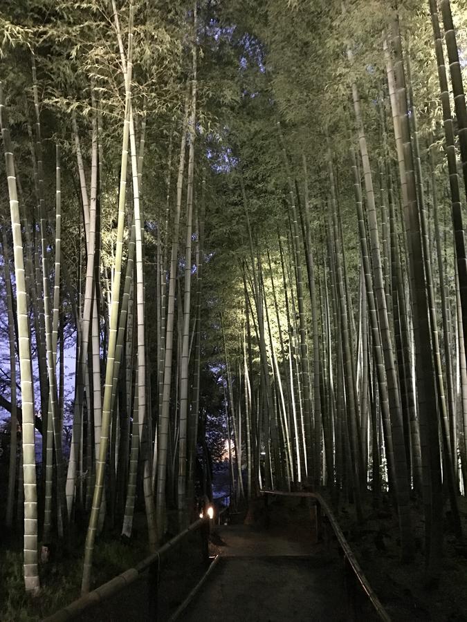 Sakuraya-Inn Osaka Luaran gambar